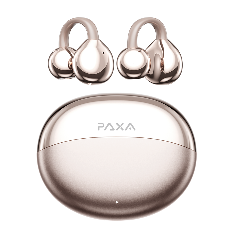 PAXA-M110 Bluetooth Earphone
